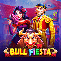 Bullfighting Festival